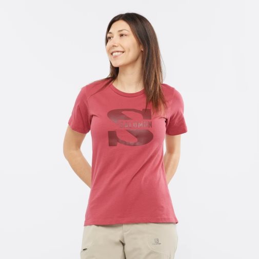 Camiseta Salomon Outlife Big Logo Curta Sleeve Feminino Vermelhas | PT R72985